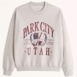 Abercrombie Park City Oversized Sweatshirt